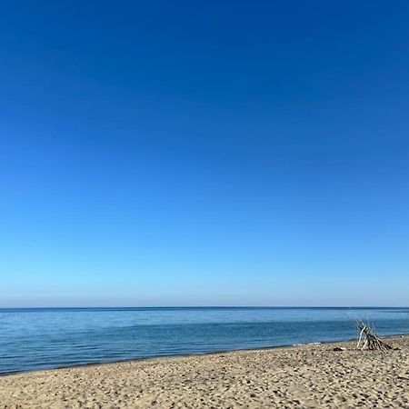 Appartement Bord De Mer Le Barcarès Екстериор снимка